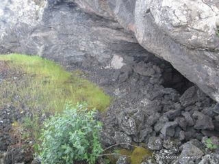 otta Campana-17-04-2014 18-34-48